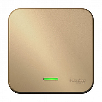 Наружный выключатель 1-клавишный с подсветкой с изолированной пластиной 10А Титан Blanca