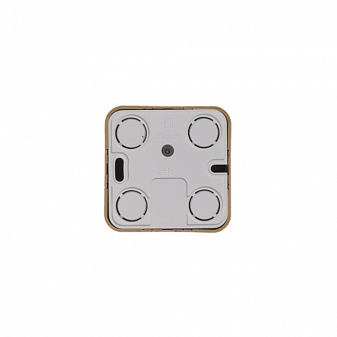 Наружная розетка компьютерная RJ45 кат. 5Е с изолированной пластиной Ясень Blanca