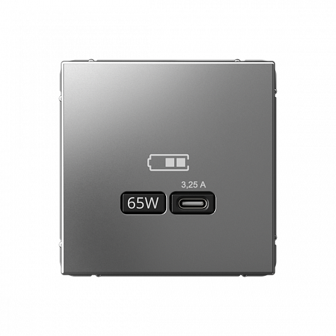 Розетка USB тип-С 65Вт высокоскоростная зарядка QC PD Сталь ArtGallery