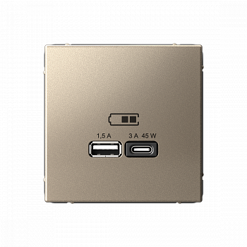 Розетка USB A + тип-C 45Вт высокоскоростная зарядка QC PD Шампань ArtGallery
