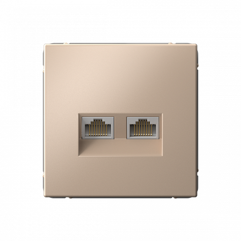 Розетка двойная компьютерная RJ45+RJ45 категория 6А Песочный ArtGallery