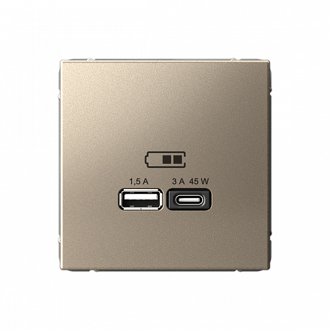 Розетка USB A + тип-C 45Вт высокоскоростная зарядка QC PD Шампань ArtGallery