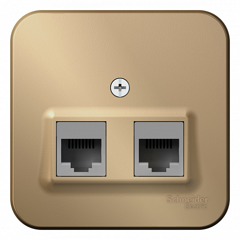 Наружная розетка двойная RJ45 кат. 5E с изолированной пластиной Титан Blanca