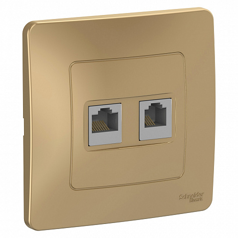 Наружная розетка RJ45 категории 5E + телефон RJ11 Титан Blanca