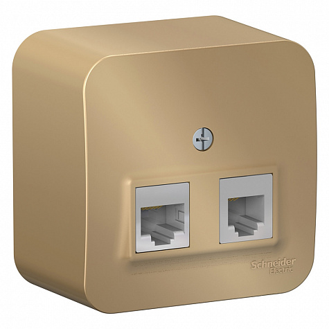 Наружная розетка двойная RJ45 кат. 5E + телефонная RJ11 с изолированной пластиной Титан Blanca