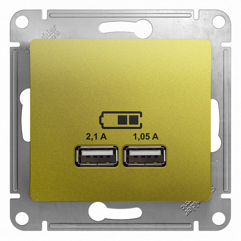 Розетка для зарядки с USB тип A+A 5В/2,1А Фисташковый Glossa