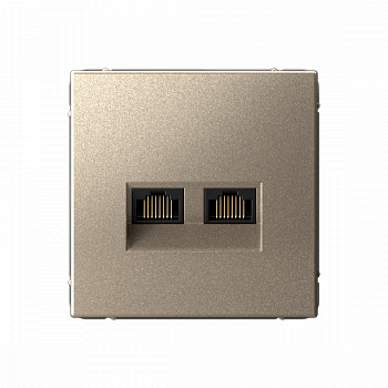 Розетка двойная компьютерная RJ45+RJ45 категория 6А Шампань ArtGallery