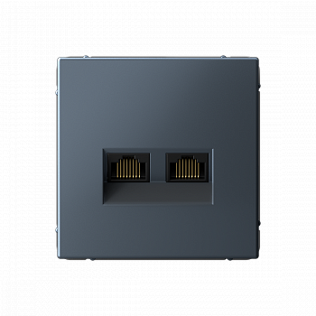 Розетка двойная компьютерная RJ45+RJ45 категория 6А Грифель ArtGallery