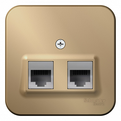 Наружная розетка двойная RJ45 кат. 5E + телефонная RJ11 с изолированной пластиной Титан Blanca